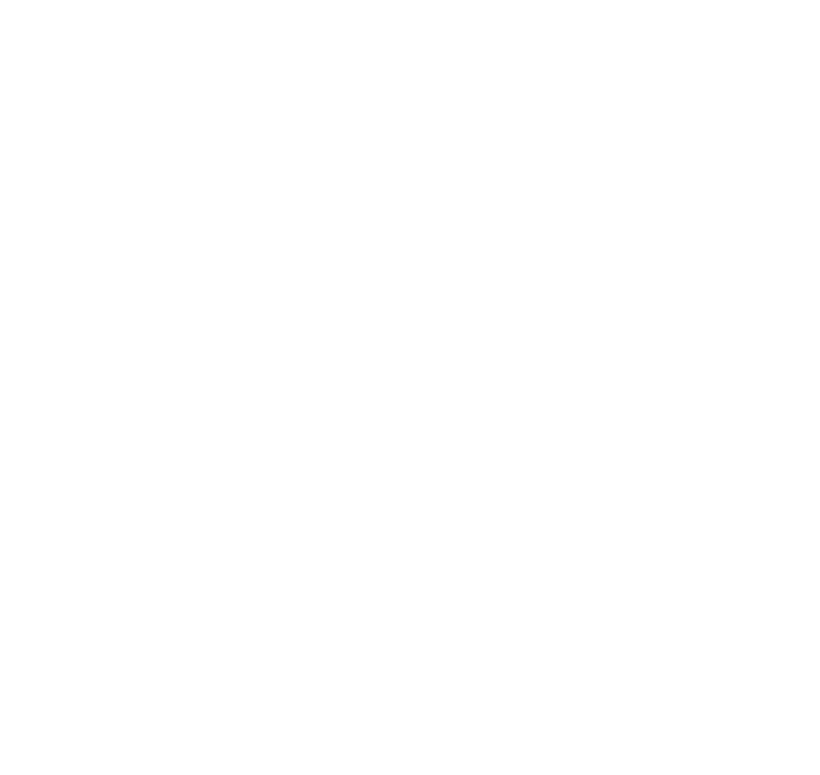 Bristol Twin Cities Lions Club Logo